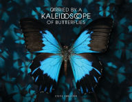 Title: Carried by a Kaleidoscope of Butterflies, Author: Steve Sweitzer