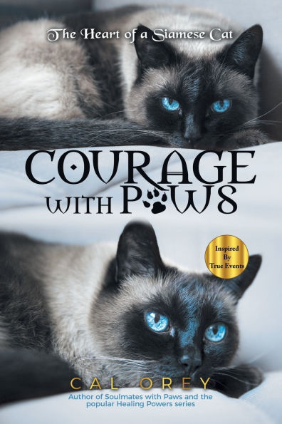 Courage with Paws: The Heart of a Siamese Cat