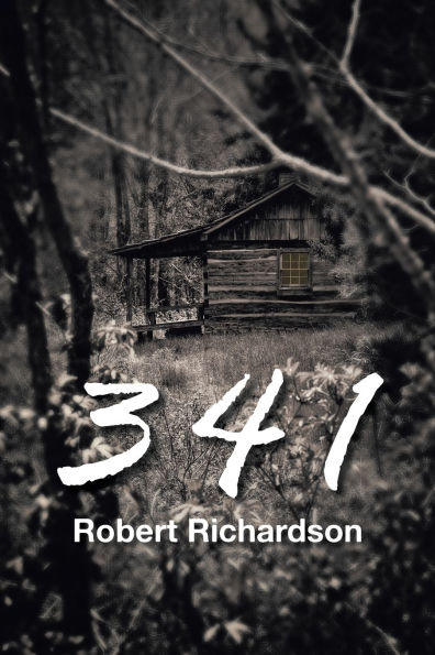 3 4 1