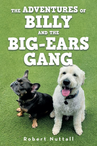 the adventures of Billy and Big-ears gang