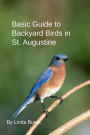Basic Guide to Backyard Birds in St. Augustine