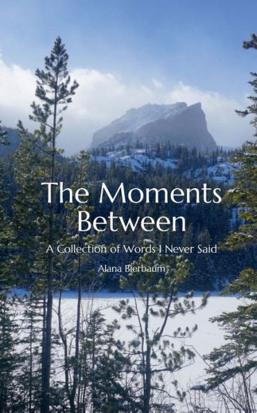 The Moments Between: A Collection of Words I Never Said