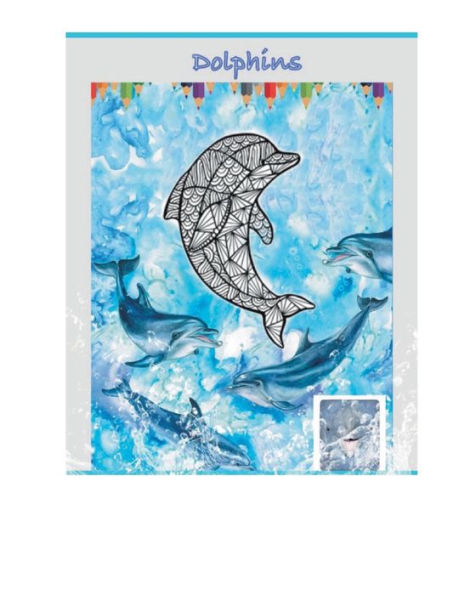 Dolphin Coloring Book