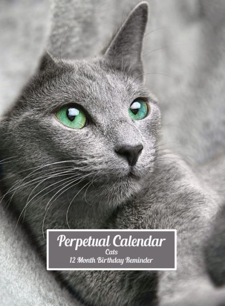 Cats Perpetual Calendar 12 Month Birthday Reminder: Hardcover Monthly Daily Desk Diary Organizer for Birthdays, Anniversaries, Important Dates, Special Days and Times