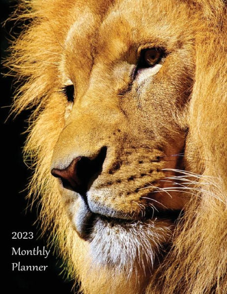 2023 Monthly Planner (Majestic Lion): Month at a Glance, Top Priorities, To-Do list, Calendar, Goal Setting, Plan & Review Pages 8.5