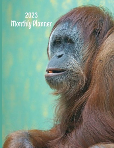 2023 Monthly Planner (Orangutan): Month at a Glance, Top Priorities, To-Do list, Calendar, Plan & Review Pages, 8.5