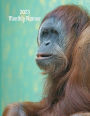 2023 Monthly Planner (Orangutan): Month at a Glance, Top Priorities, To-Do list, Calendar, Plan & Review Pages, 8.5