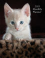 2023 Monthly Planner (Kitten): Month at a Glance, Top Priorities, To-Do list, Calendar, Plan & Review Pages, 8.5
