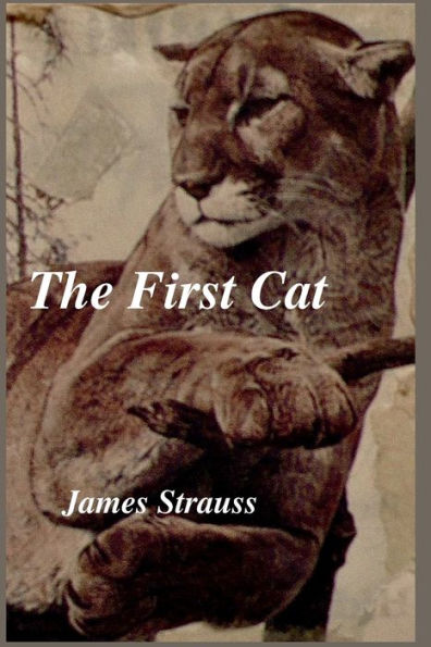 The First Cat