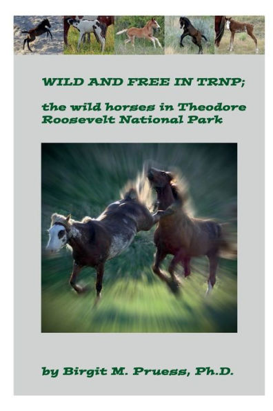 Wild and Free in TRNP: the wild horses of Theodore Roosevelt National Park: