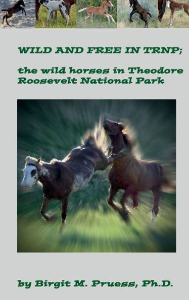 Wild and Free in TRNP: the wild horses of Theodore Roosevelt National Park: