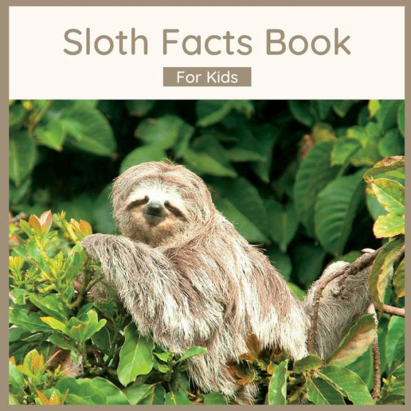 Sloth Facts Book For Kids: Sloth Book For Children
