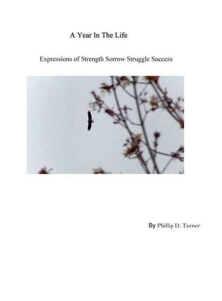 A Year in the Life Expressions of Strength Struggle Sorrow Success