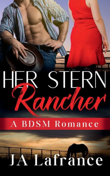 Her Stern Rancher: A Cowbot Romance Story