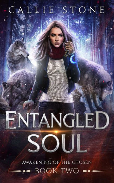 Entangled Soul: A Rejected Mates Shifter Romance