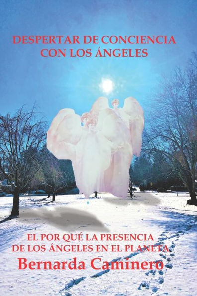 DESPERTAR DE CONCIENCIA CON LOS ANGELES