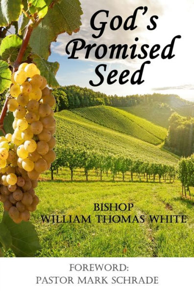 God's Promised Seed: Book Studies of Jesus the Christ