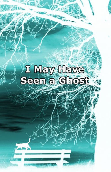 I May Have Seen a Ghost: Poems for dreamers