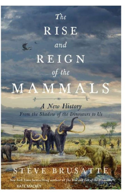 The Rise and Reign of the Mammals by Kate Mackey, Paperback | Barnes ...