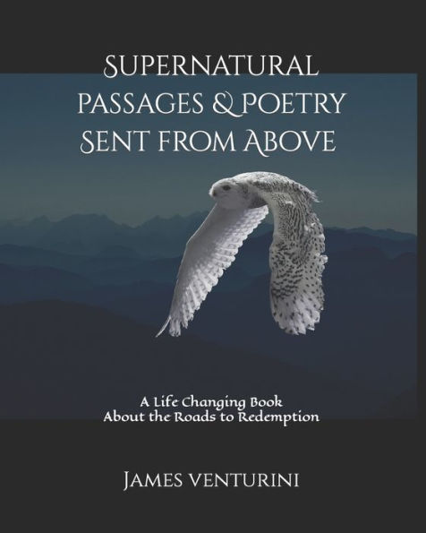 Supernatural Passages & Poetry, Sent from Above: A Life Changing Book About the Roads to Redemption
