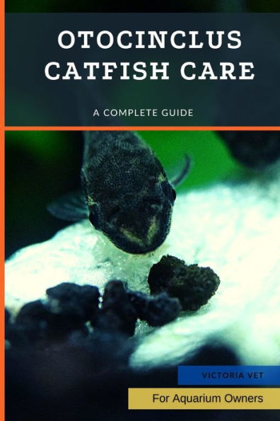 Otocinclus Catfish Care: A Complete Guide