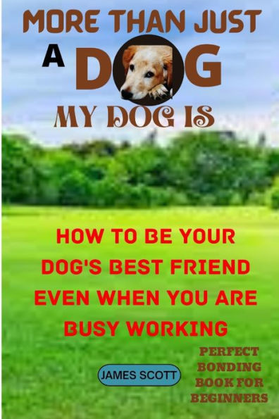 MORE THAN JUST A DOG MY DOG IS: HOW TO BE YOUR DOG'S BEST FRIEND EVEN WHEN YOU ARE BUSY WORKING