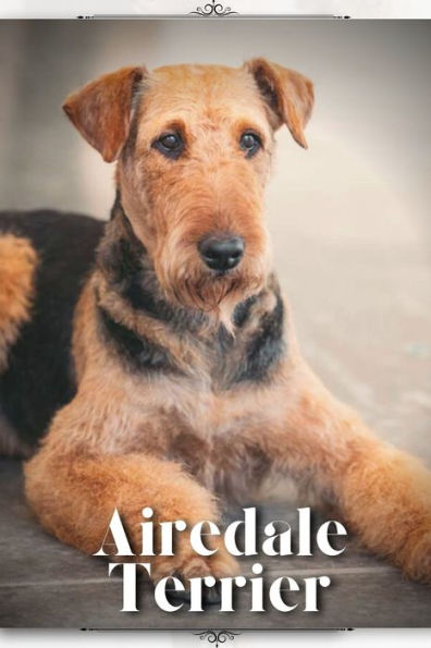 Airedale Terrier: Dog breed overview and guide