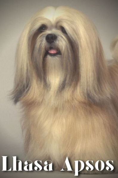 Lhasa Apsos: Dog breed overview and guide