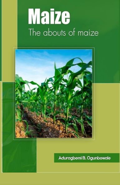 Maize: The abouts of maize