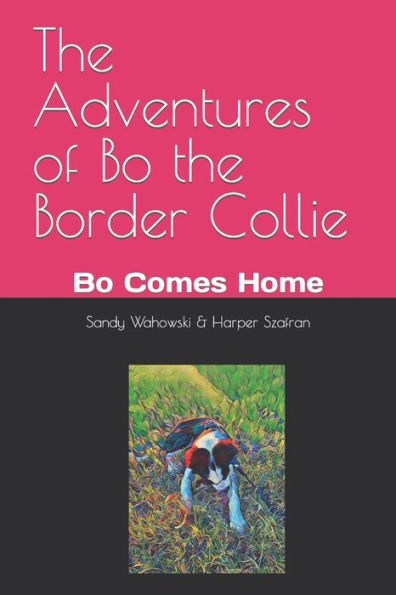 The Adventures of Bo the Border Collie: Bo Comes Home