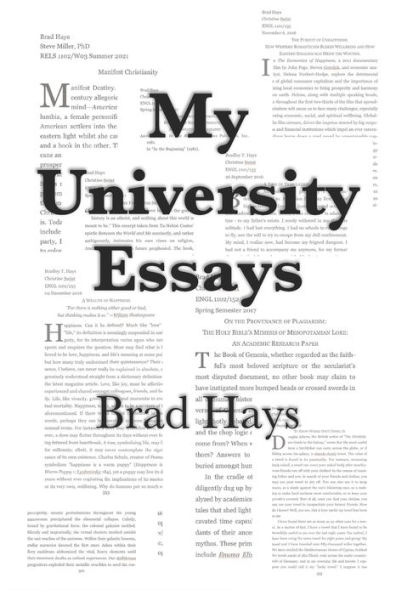 My University Essays