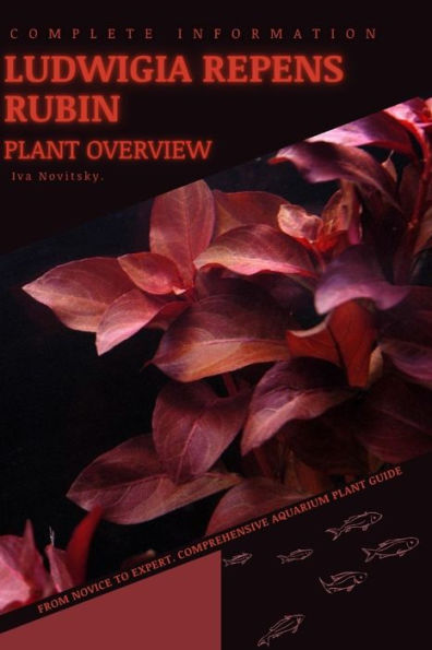 Ludwigia Repens Rubin: From Novice to Expert. Comprehensive Aquarium Plants Guide