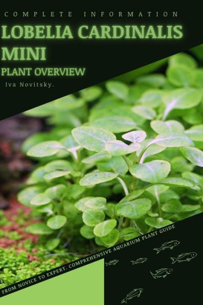 Lobelia Cardinalis Mini: From Novice to Expert. Comprehensive Aquarium Plants Guide