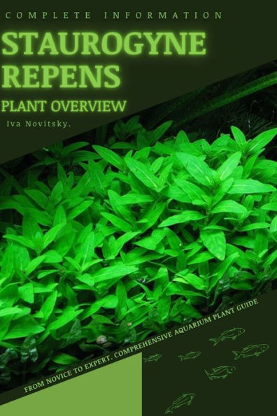 Staurogyne Repens: From Novice to Expert. Comprehensive Aquarium Plants Guide