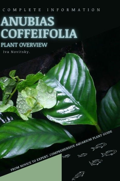 Anubias Coffeifolia: From Novice to Expert. Comprehensive Aquarium Plants Guide