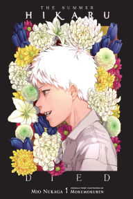 Free ipad audio books downloads The Summer Hikaru Died, Vol. 1 (light novel) in English 9798855410570