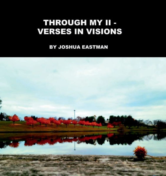 Through My II: Visions in Verses