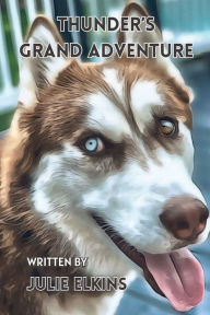 Title: Thunder's Grand Adventure: Book 1, Author: Julie Elkins