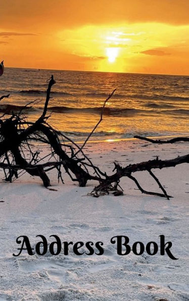 Address book: Stunning Sunset and Driftwood on the Beach
