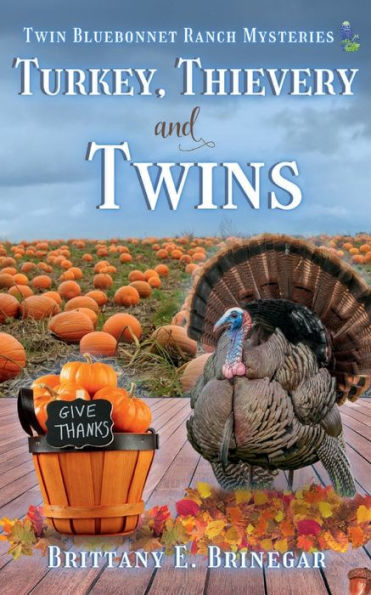 Turkey, Thievery, and Twins: A Small Town Mystery