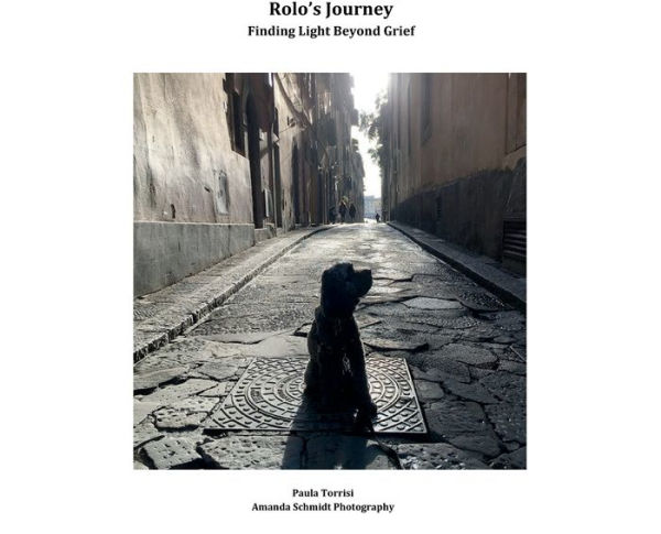 Rolo's Journey Finding Light Beyond Grief