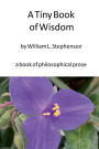 A Tiny Book of Wisdom: a book of philosophical prose