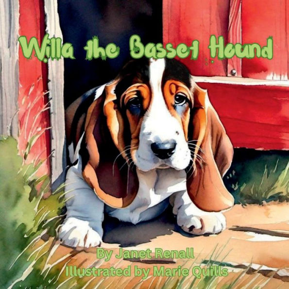 Willa the Basset Hound