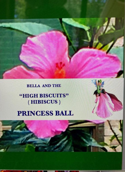 BELLA AND THE HIGH BISCUITS (HIBISCUS) PRINCESS BALL: Bella's Wonderful World