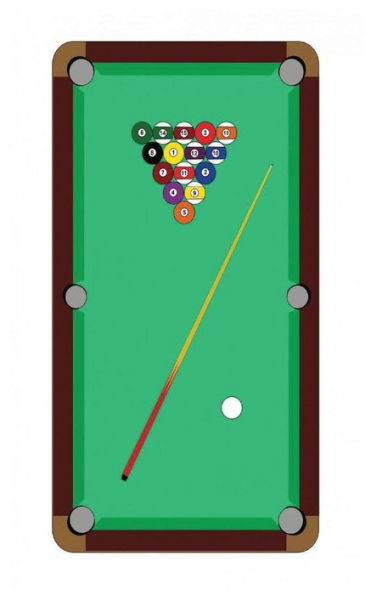 Pool Table journal: 100 page journal