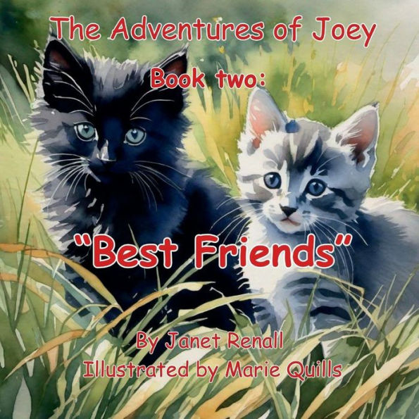 The Adventures of Joey Book Two Best friends