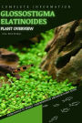 Glossostigma Elatinoides: From Novice to Expert. Comprehensive Aquarium Plants Guide