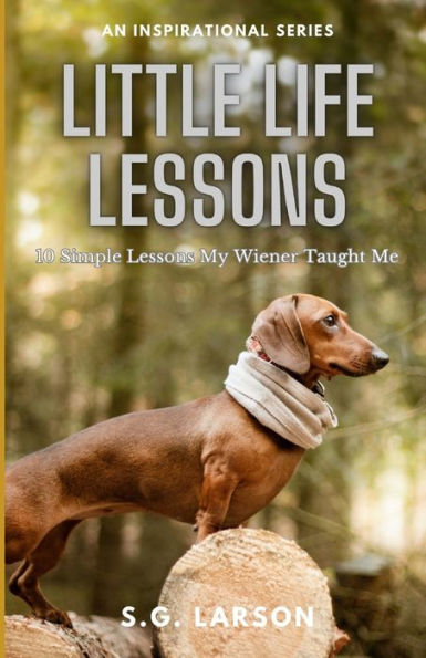 Little Life Lessons: 10 Simple Lessons My Wiener Taught Me