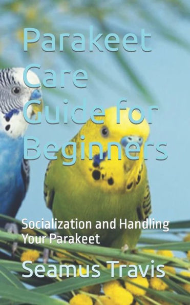 Parakeet Care Guide for Beginners: Socialization and Handling Your Parakeet