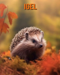 Title: Igel: Buch mit erstaunlichen Fotos und lustigen Fakten für Kinder, Author: Kathi Hession
